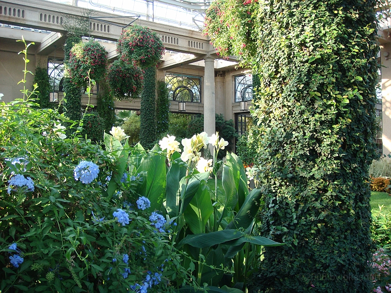 424 Longwood Gardens [2008 August 23].JPG - Longwood Gardens in Pennsylvania